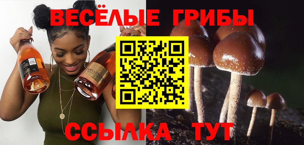 Псилоцибиновые грибы ЛСД  Псилоцибиновые грибы MAGIC MUSHROOMS  Можайск  Вход с VPN 