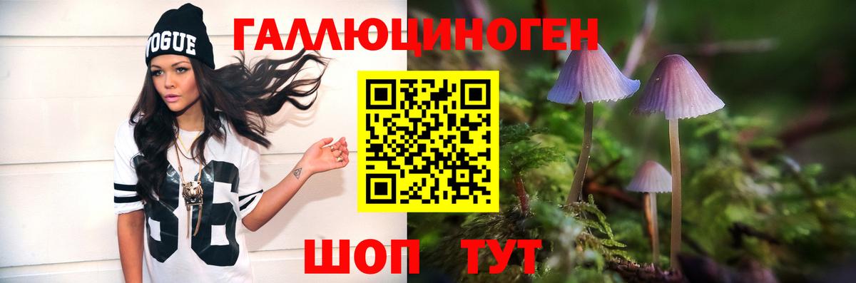 Галлюциногенные грибы Cubensis Можайск